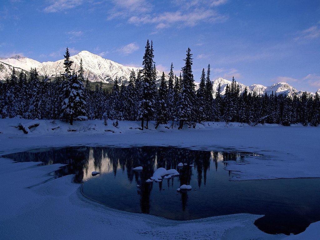 Bow River Valley, Alberta